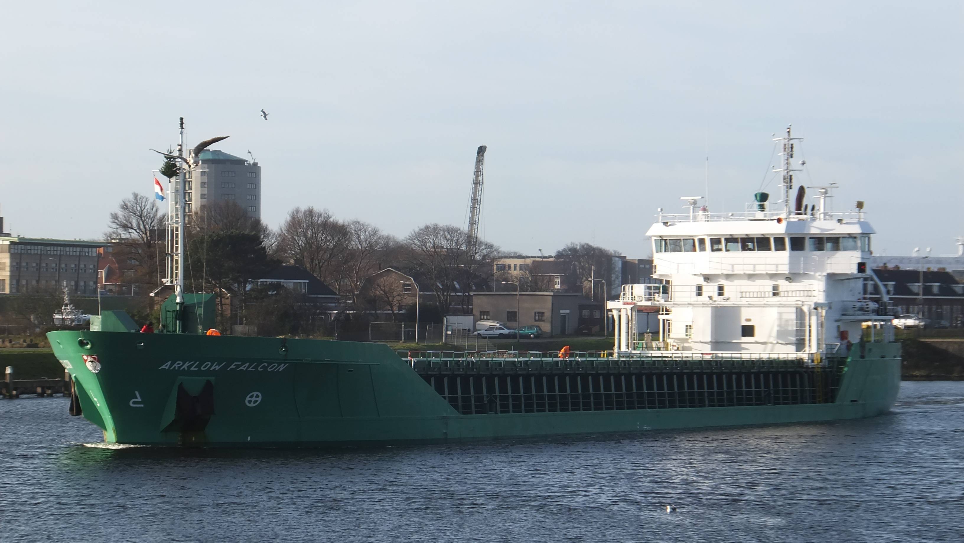 ARKLOW FALCON